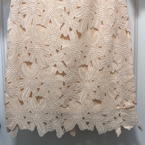 Forever 21 - Blush Lace Dress - Picture 4 of 13